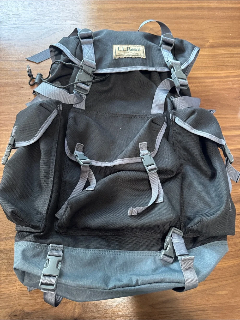 LL Bean Xl backpack